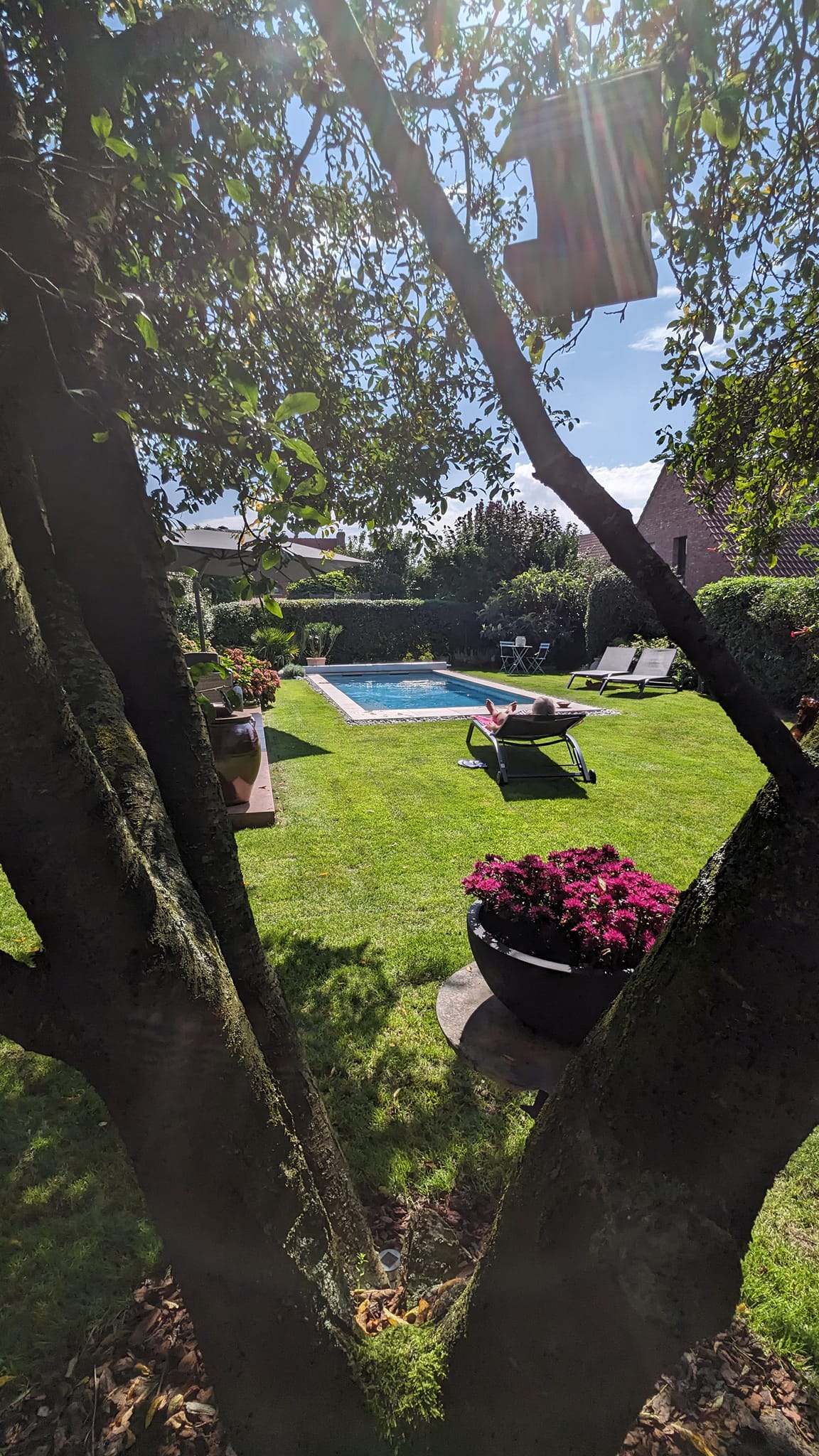 Un mélange de quelques photos de l'aménagement de notre jardin... Un mélange de quelques photos de l'aménagement de notre jardin...